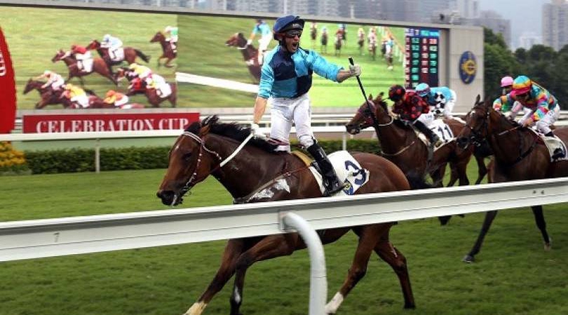 Betting Market In The World's Largest Hong Kong Horse Race — acerakkespc on  Scorum