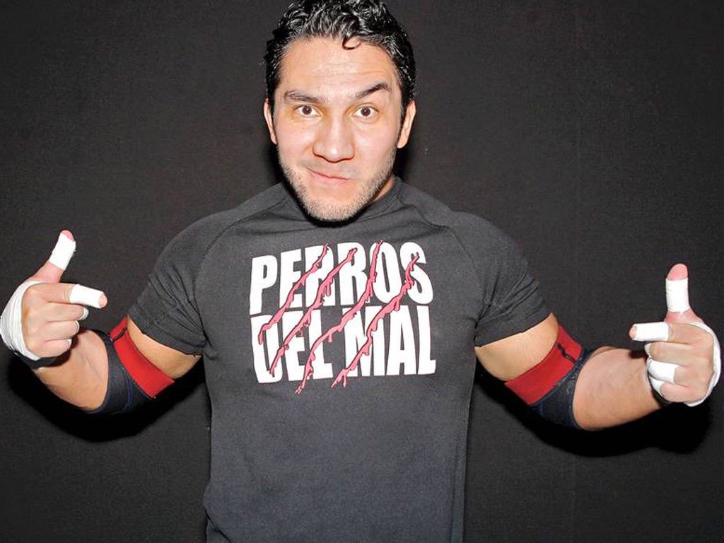 Perro Aguayo Jr And His Tragic End — liuke96player on Scorum