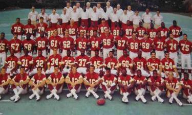 1991 NFL Season Recap — zmiller82 on Scorum